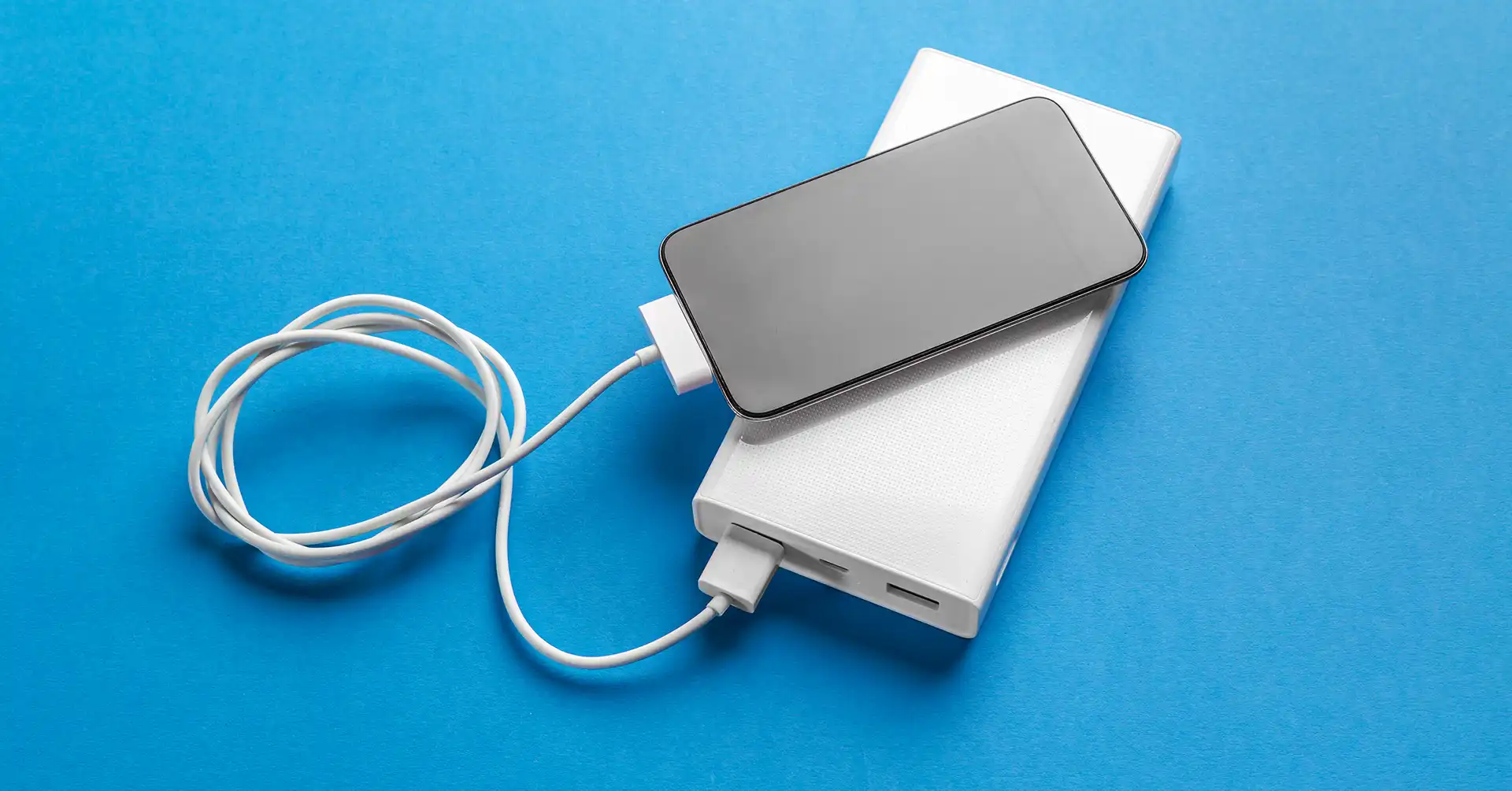 Zealpozold-Product-Fact